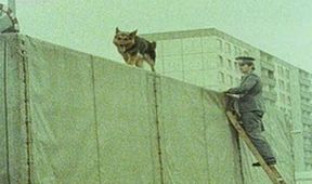 Ve stínu Berlínské zdi